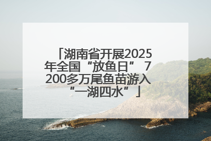 湖南省开展2025年全国“放鱼日” 7200多万尾鱼苗游入“一湖四水”